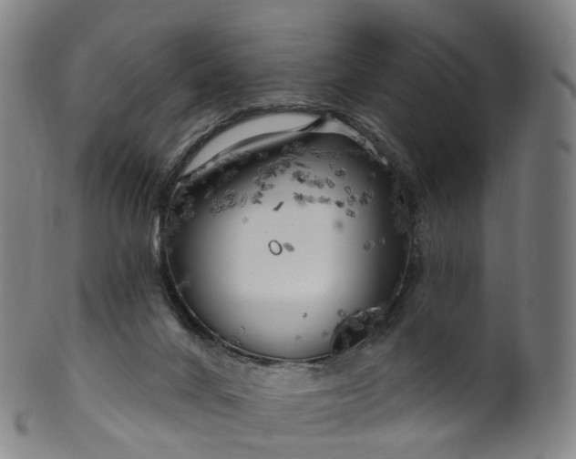 X0000099960024200806061616