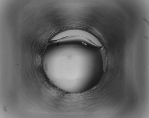X0000099960025200806061616