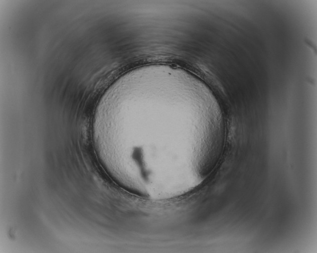 X0000099960026200806061616