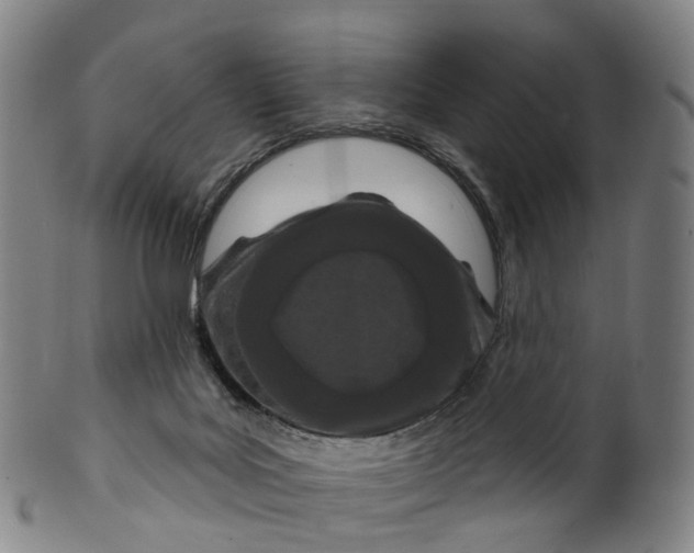 X0000099960027200806061616