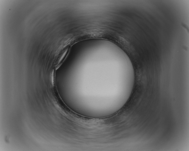 X0000099960028200806061616