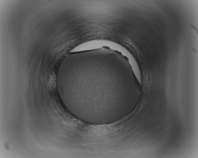 X0000099960029200806061616