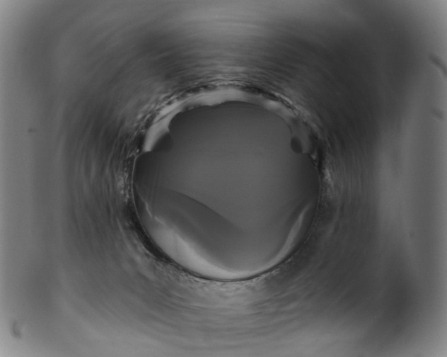 X0000099960031200806061616