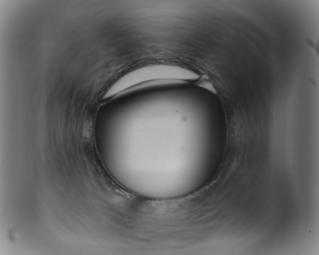 X0000099960033200806061616