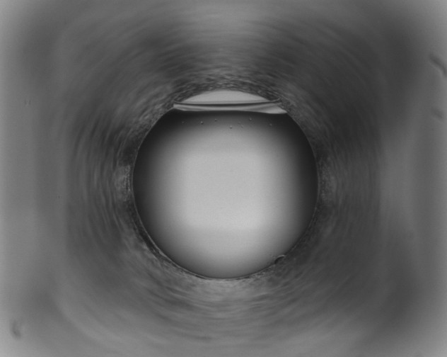 X0000099960034200806061616
