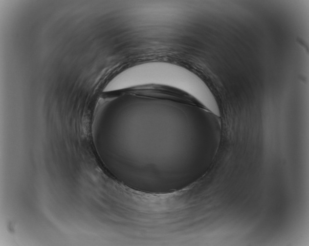X0000099960035200806061616