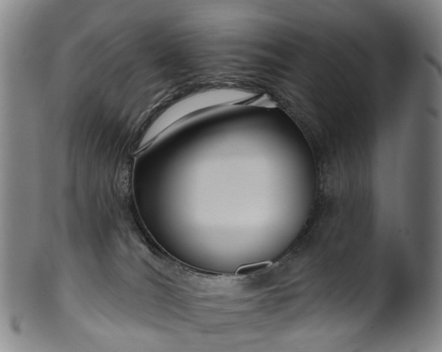 X0000099960036200806061616