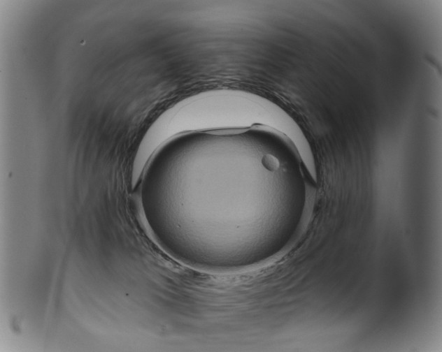 X0000099960037200806061616