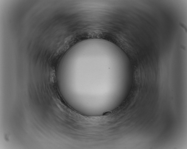 X0000099960038200806061616