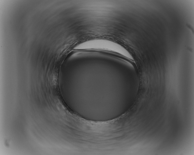 X0000099960039200806061616