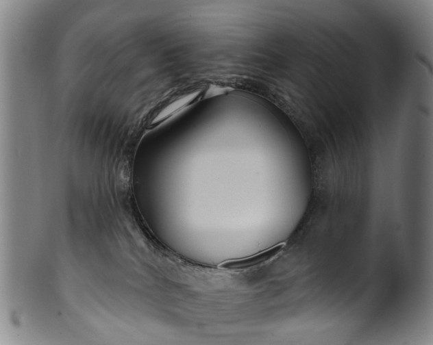 X0000099960040200806061616