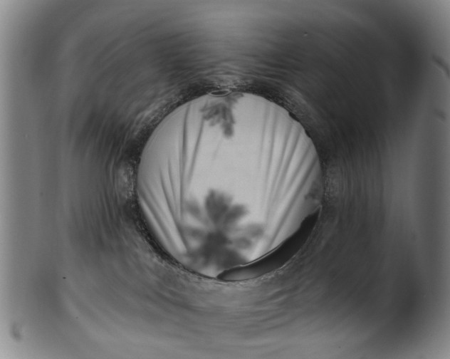 X0000099960043200806061616