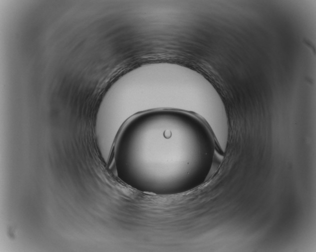 X0000099960045200806061616