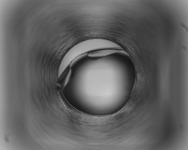 X0000099960048200806061616