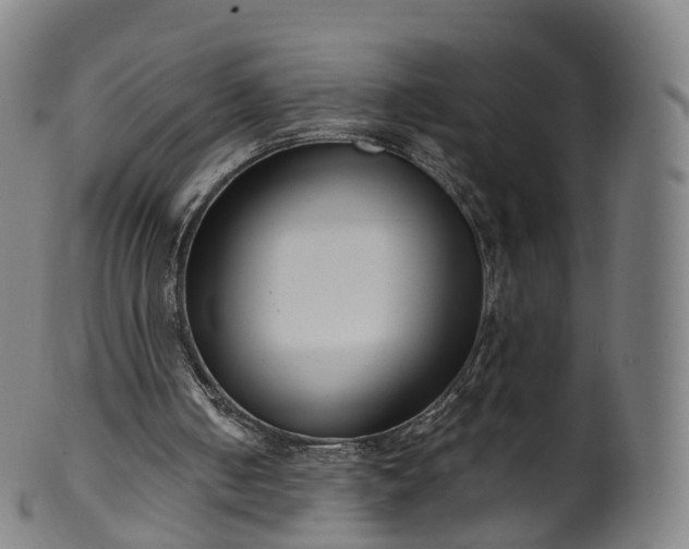 X0000099960050200806061615