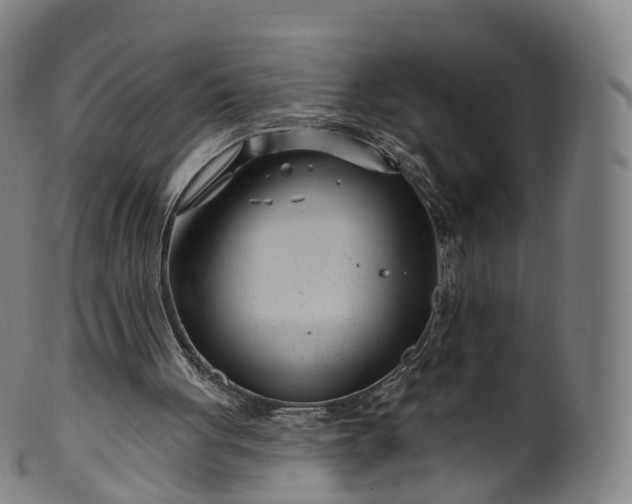 X0000099960051200806061615