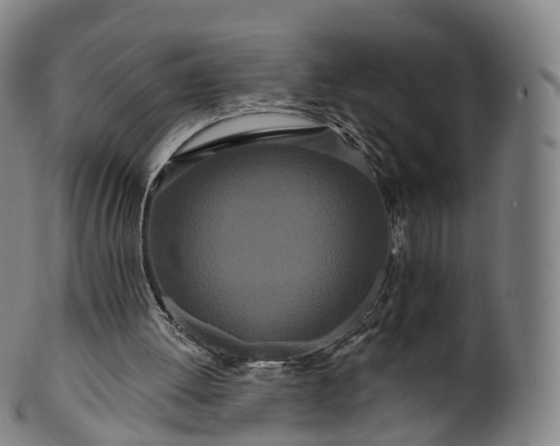 X0000099960052200806061615