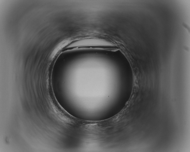 X0000099960054200806061615