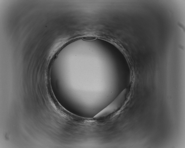 X0000099960055200806061615
