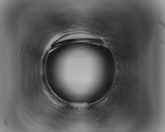 X0000099960056200806061615