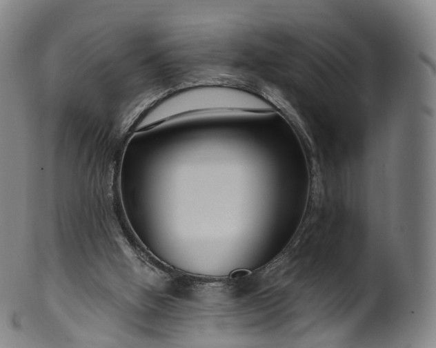 X0000099960058200806061615