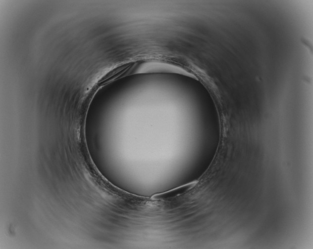 X0000099960060200806061615