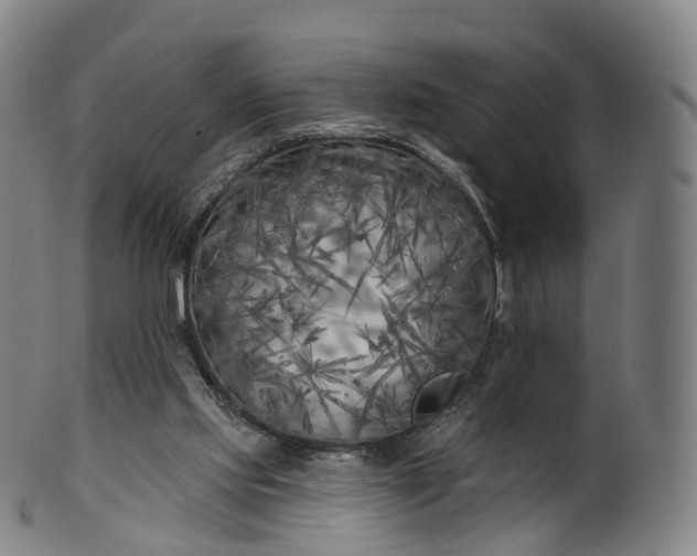X0000099960061200806061615