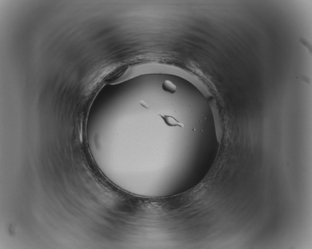 X0000099960062200806061615