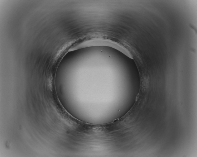 X0000099960064200806061615