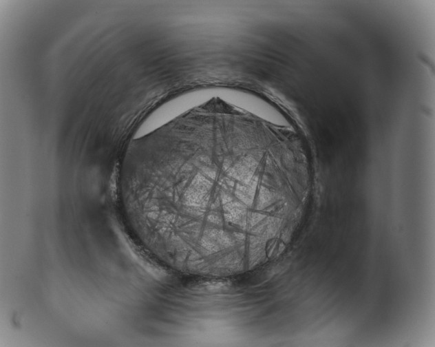 X0000099960065200806061615