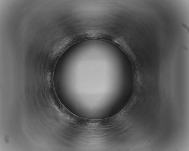 X0000099960066200806061616