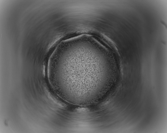 X0000099960067200806061616