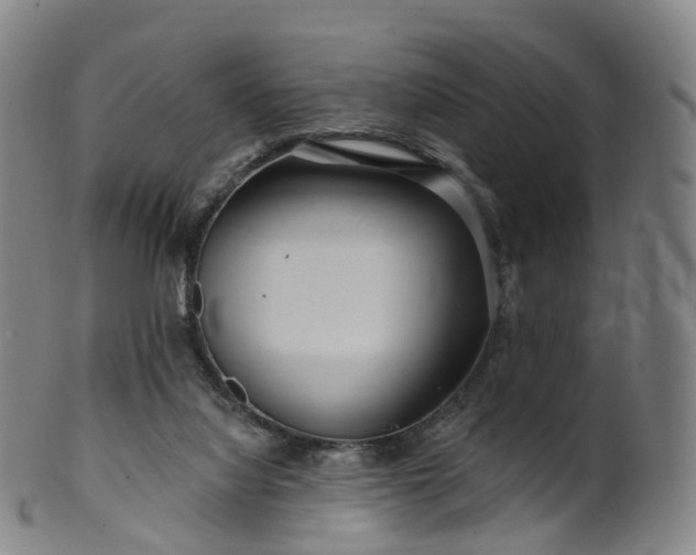 X0000099960068200806061616