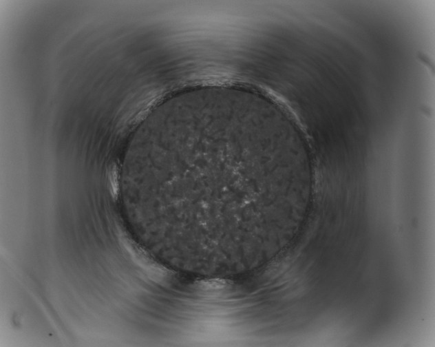 X0000099960069200806061616