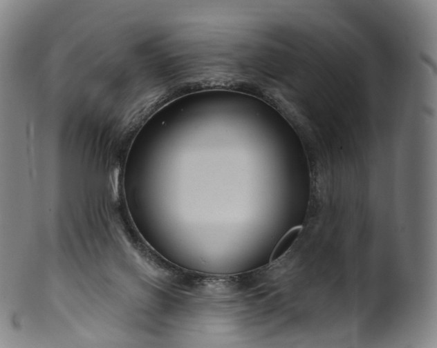 X0000099960070200806061616