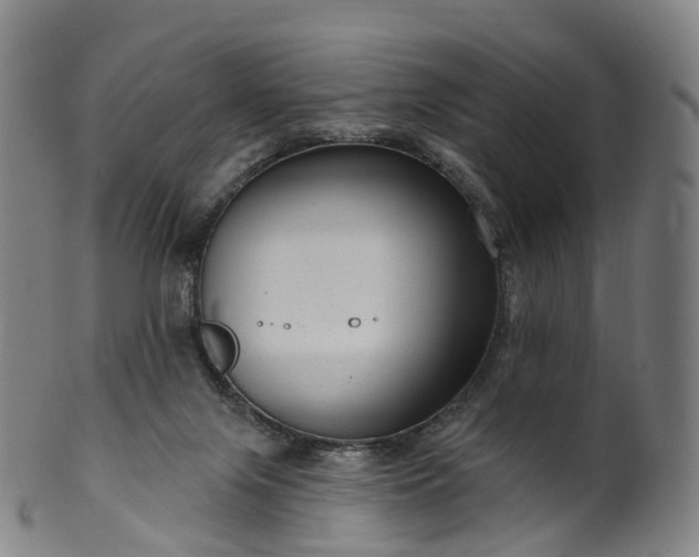 X0000099960071200806061616