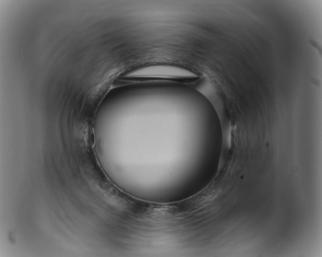 X0000099960072200806061616