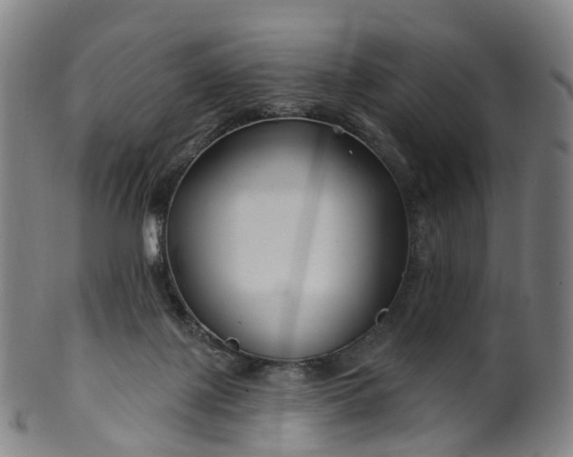 X0000099960075200806061616