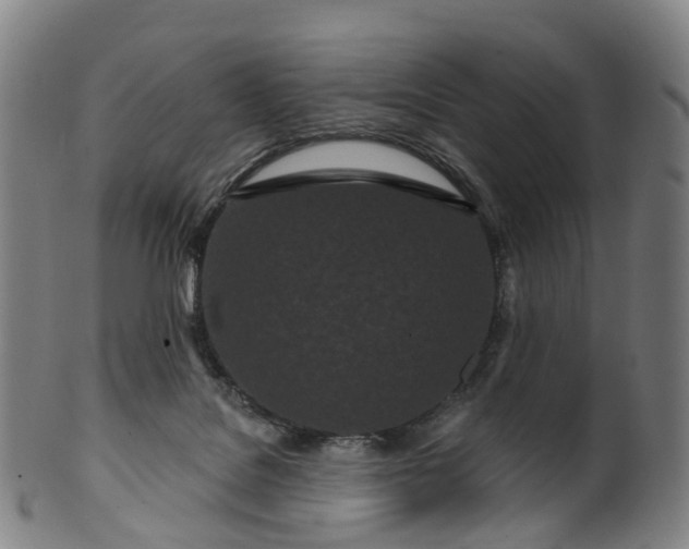 X0000099960076200806061616