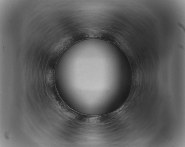 X0000099960078200806061616