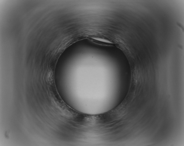 X0000099960079200806061616
