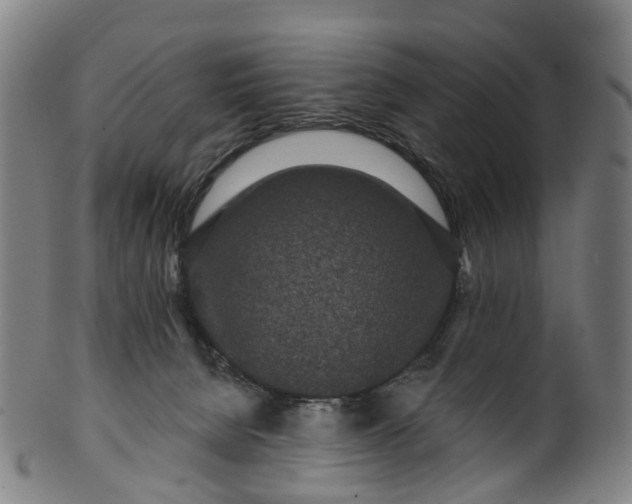 X0000099960080200806061616