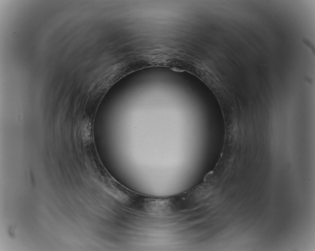 X0000099960081200806061616