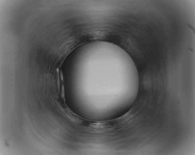 X0000099960082200806061616
