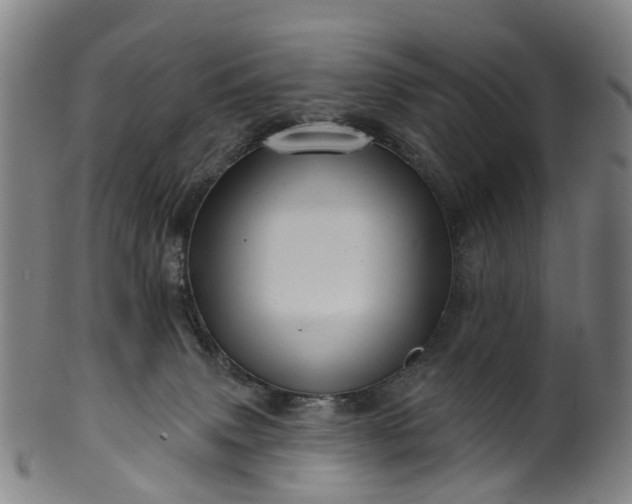 X0000099960083200806061616