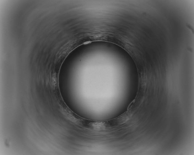 X0000099960085200806061616