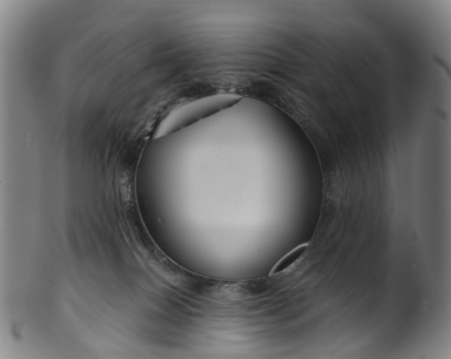 X0000099960086200806061616