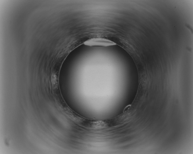 X0000099960087200806061616