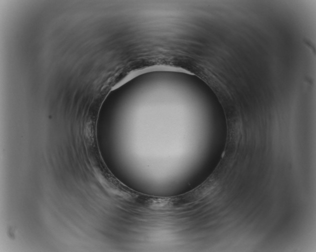 X0000099960088200806061616