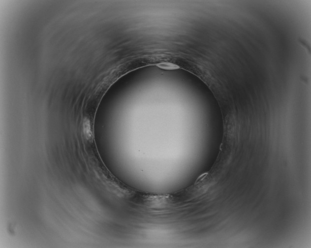 X0000099960089200806061616